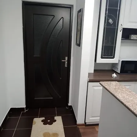 Penti Apartament Suceava Exterior photo