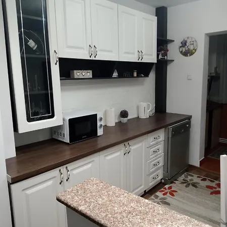 Penti Apartament Suceava Exterior photo